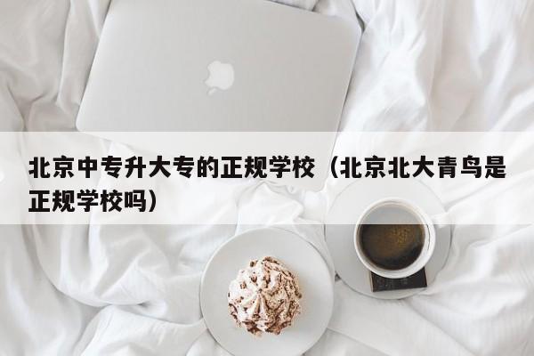 北京中专升大专的正规学校（北京北大青鸟是正规学校吗）
