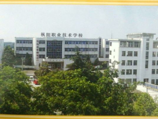 铜陵市最好的重点公办中专学校排名一览表（2023最新）插图4