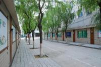 濮阳最好的小学名单 2023年排名前十的学校一览表插图7