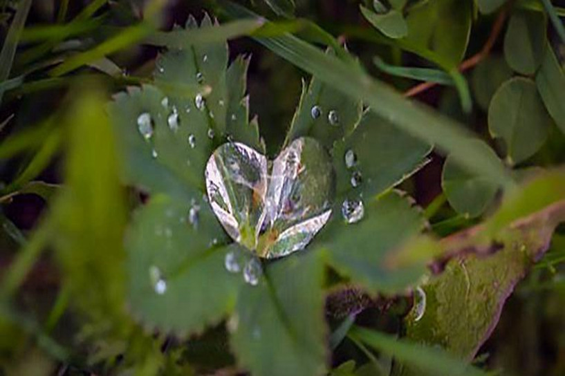 2023自考本科开考专业类别一览表