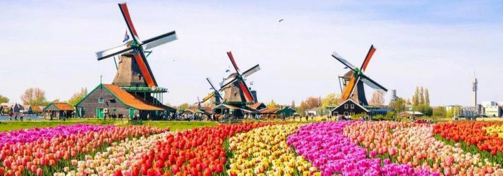 荷兰阿姆斯特丹大学教学如何？相当于国内什么大学插图6