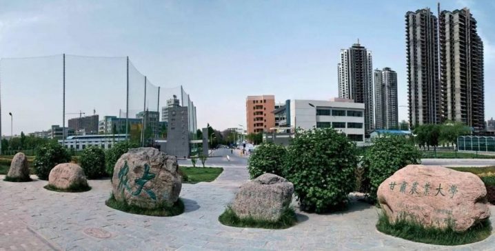 甘肃省所有大学排名一览表（2023全省高校排名TOP10介绍）插图4