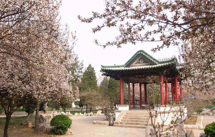 山东高校排名一览表 排名前10强的大学名单插图3