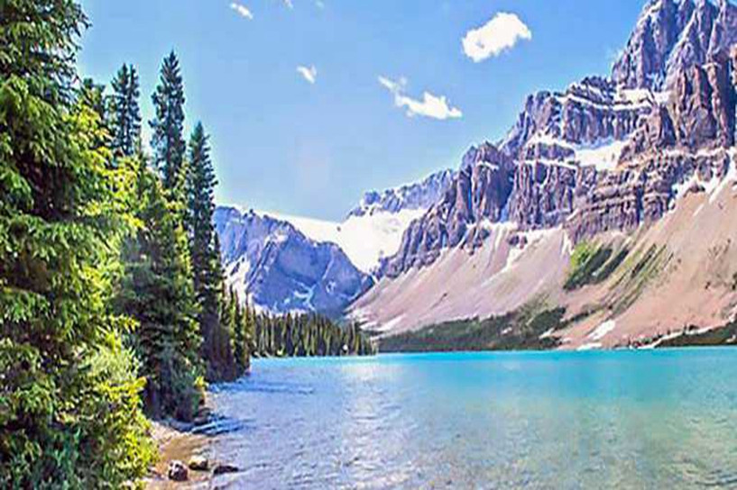 成人高考《政治》高频考点70个 重点知识点汇总