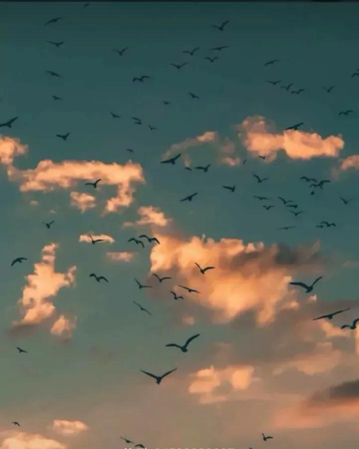 初三中考励志名人名言短句 中考霸气逆袭的励志短句子插图1