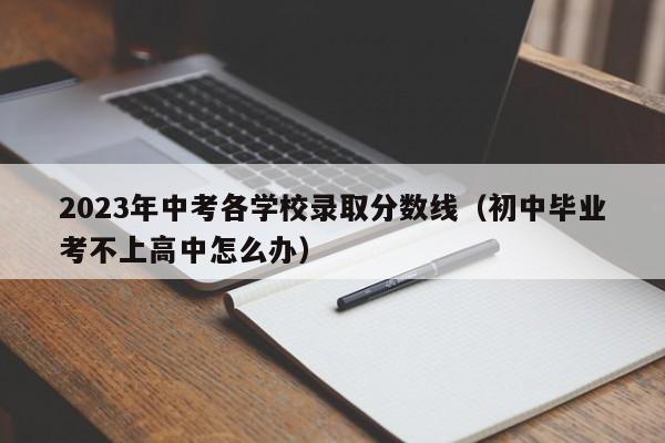 023年中考各学校录取分数线（初中毕业考不上高中怎么办）"