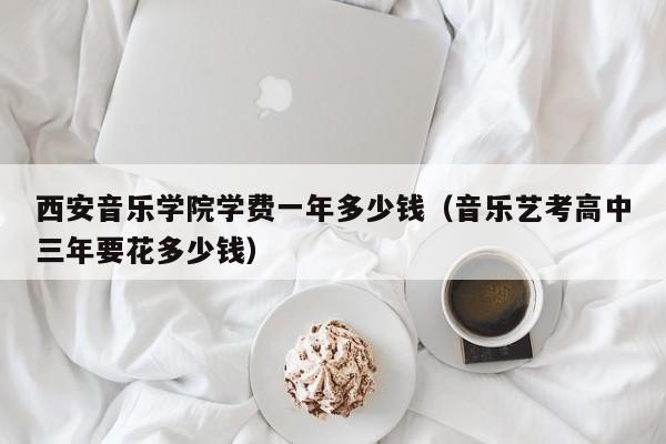 西安音乐学院学费一年多少钱（音乐艺考高中三年要花多少钱）