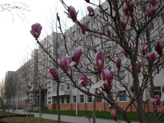 济南最好的初中排名 2023济南十大重点中学名单插图3