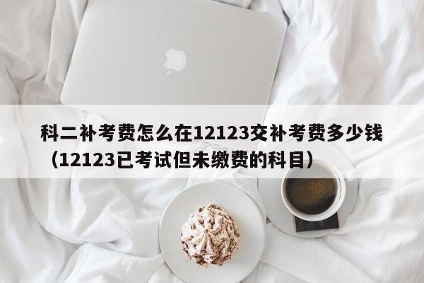 科二补考费怎么在12123交补考费多少钱（12123已考试但未缴费的科目）