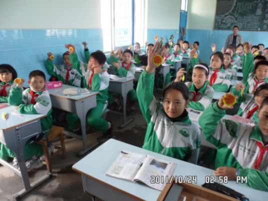 南阳最好的小学名单 2023年排名前十的学校一览表插图3