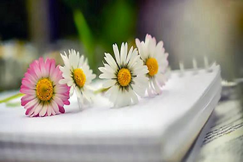 中专可以直接升本科学历吗 正规途径有哪些