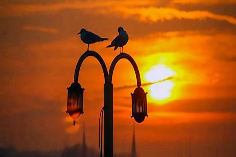 2021年网教统考报名时间是什么时候