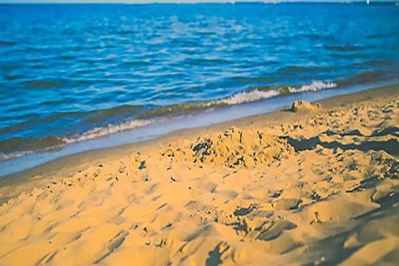 初中学历怎么自考本科 需要什么条件