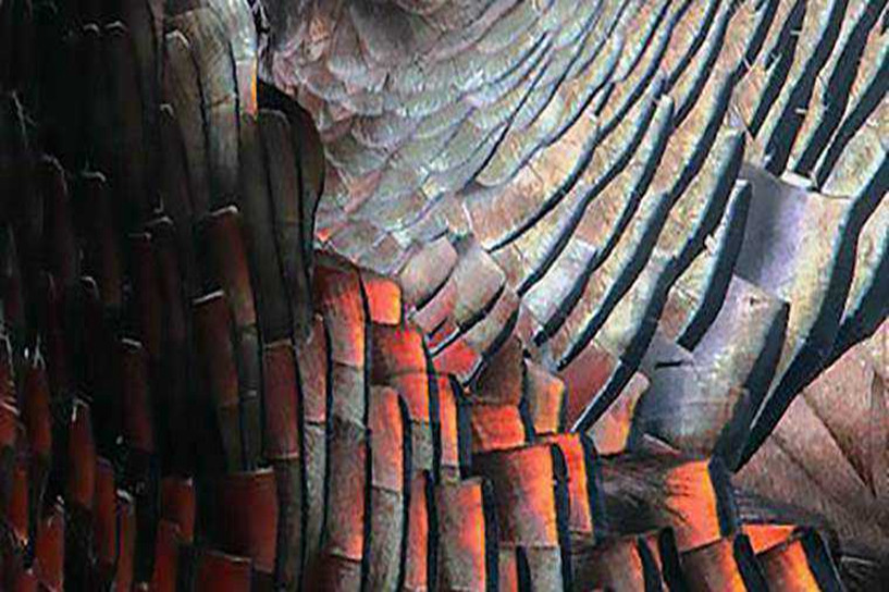 专升本统招和自考到底有什么区别