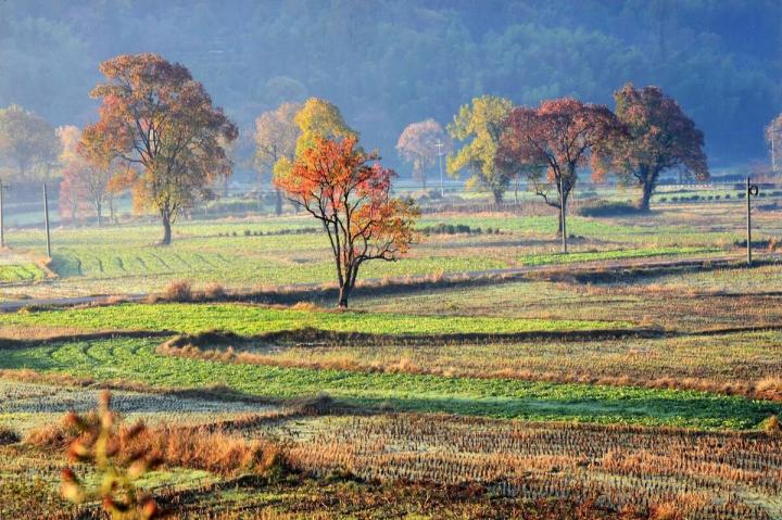 那些令人励志的名人名言精选10条（免费可复制）插图2