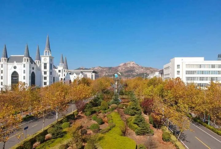 山东外事职业职业大学2022年注册入学报考指南（考生报名条件+注册入学时间安排）插图5