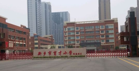 新乡最好的小学名单 2023年排名前十的学校一览表插图1