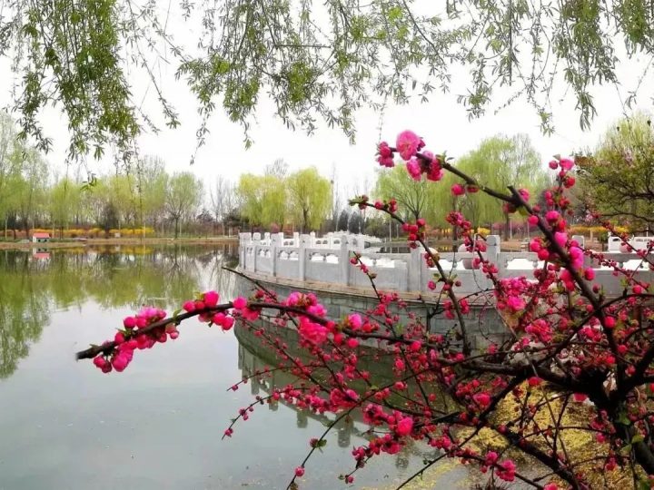 北京航天工程大学2023年硕士研究生招生简章（招生对象+招生要求+报考条件）插图7