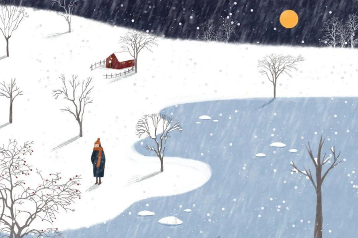 描写雪的优美诗句（形容雪的诗句）插图1