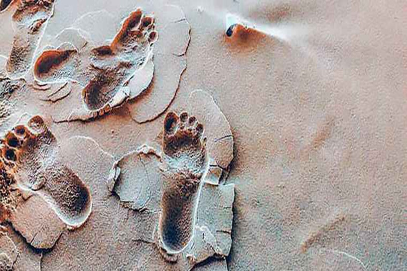 成人本科正规学历提升机构 靠谱机构十大排名