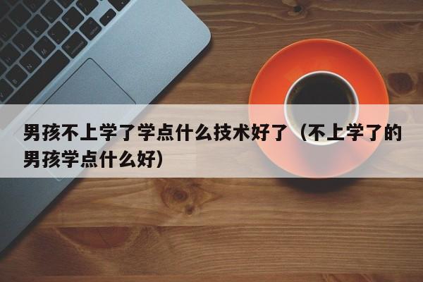 男孩不上学了学点什么技术好了（不上学了的男孩学点什么好）