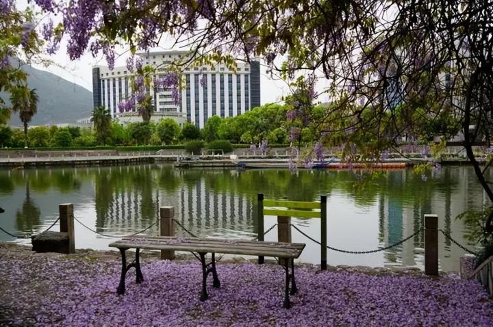 浙江排名第一的大学是哪一所（浙大第一，温州医科大表现不凡）插图4