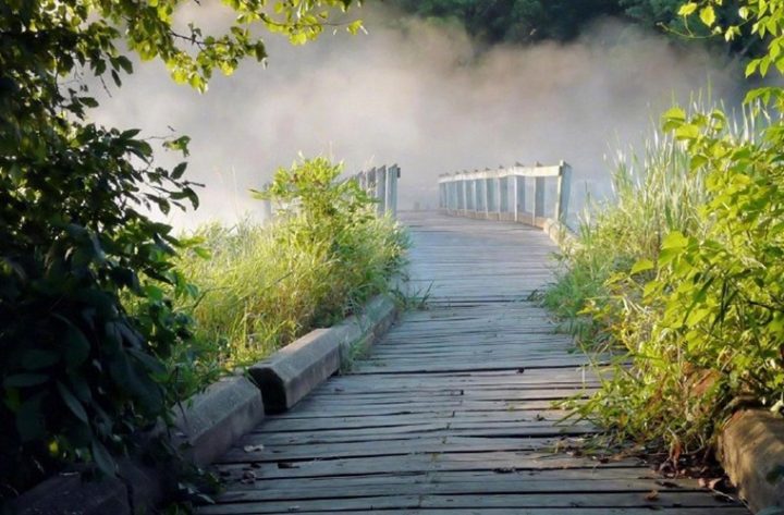 重庆市高中学校排名榜二十名一览表 2023年最新排名数据插图