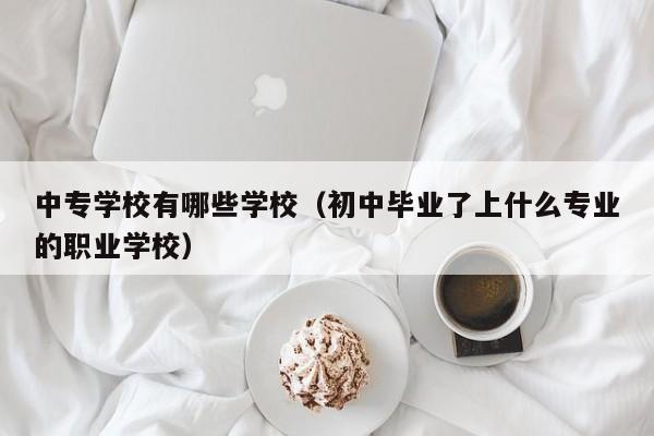 中专学校有哪些学校（初中毕业了上什么专业的职业学校）