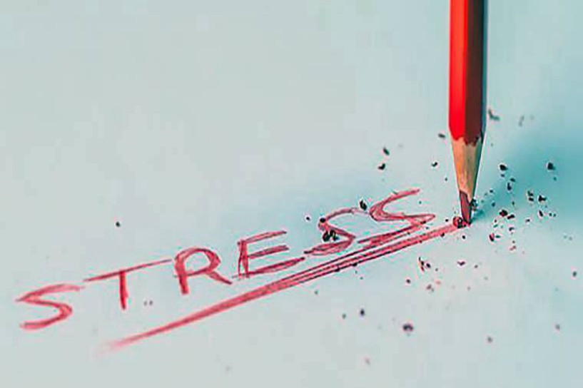 成人高考专升本什么专业课容易考