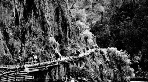 关于红军长征故事有哪些 红军长征路上十个历史事件插图5