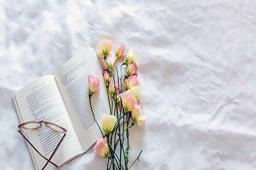 网络教育有哪些专业 怎么自己报名