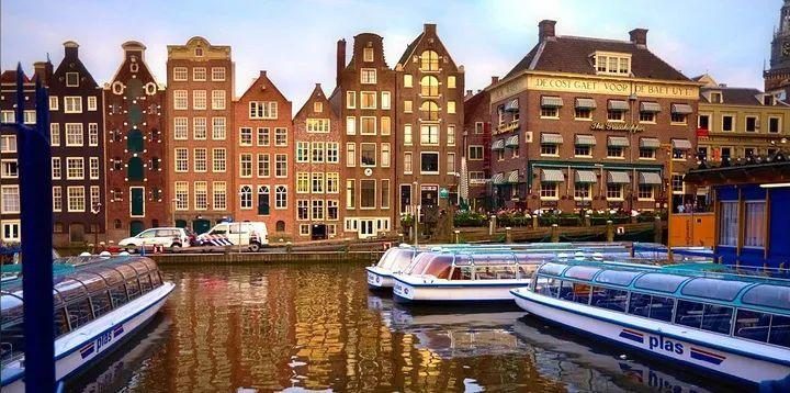 荷兰阿姆斯特丹大学教学如何？相当于国内什么大学插图3